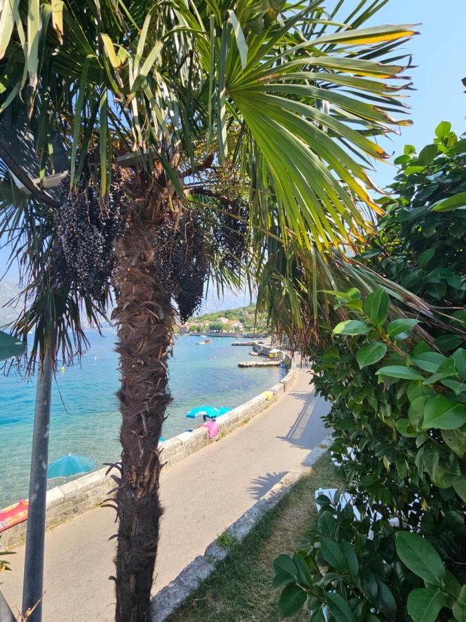Apartmani Markovic Kotor Exteriér fotografie
